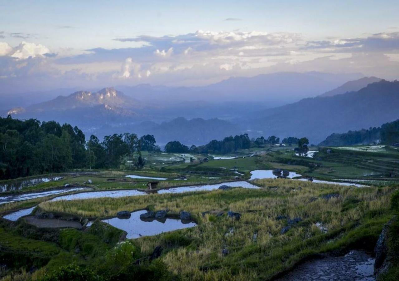 Mama Tia Family Homestay Рантепао Экстерьер фото