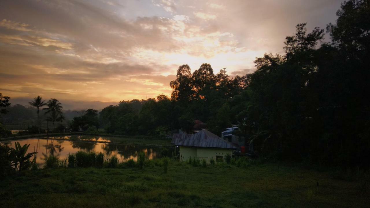 Mama Tia Family Homestay Рантепао Экстерьер фото